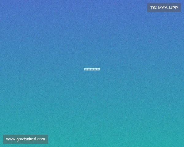 黄冈电子信息学校网站